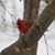 Pam Wilson's profile image
