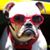 Judy Boyd's profile image