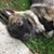 Noreen Grasso Mahoney's profile image