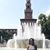 Dina Mireille's profile image
