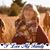 Toni Slater-Carter's profile image