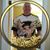 Scott Kincaid's profile image