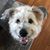 Sue Johnston's profile image