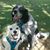 Ronald Hotinger's profile image