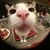 Carolee Bull's profile image
