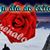 Alejandra Martinez's profile image