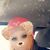 Amber Leigh Cecelia Gordon's profile image