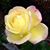 Leigh Petix's profile image