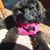 Tammy Halter's profile image