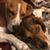 Donna McMasters's profile image