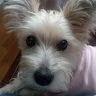 Sandra E.'s profile image