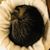 Carrie Tobin's profile image