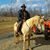 Darryl Greenidge's profile image