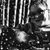 Ashley Renee Huffman's profile image