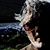 Ronn Holland's profile image