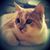 Karen English Camarillo's profile image
