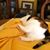 Jo Macon Stogner's profile image