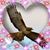 Erma Jean Thomas's profile image