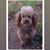 Gayla Wheeler's profile image