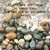 Deborah L B Fosler's profile image