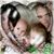 Ellie Mullins's profile image