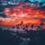 Edmundo Farias's profile image