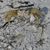Sandy Amick's profile image