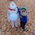 Suzy DeShon Maxwell's profile image