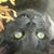 Judy Moran's profile image
