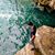 Anibal Calcagno's profile image
