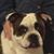 Connie Gourley-Records's profile image