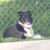 Bonnie Retzlaff's profile image