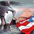 David Hernandez's profile image