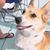 Sarah Baker's profile image