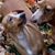 Joy Woosley Stevens's profile image