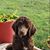 Cheryl Nelson's profile image
