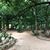 New Ranweli Spice Garden's profile image