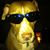 Corey Bagents's profile image