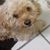 Kelley Flink's profile image