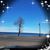 Dawn Marie Clyne's profile image