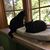 Linda Malcolm's profile image