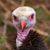 Beth Booper's profile image