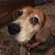 Michelle Bletz McClish's profile image