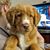 Sue Steinman's profile image