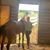 DeEtte St Romain Dalrymple's profile image