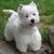 Patricia Anderson's profile image