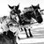 Belinda Lindberg's profile image