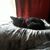 Lori Derr's profile image