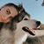 Kayla Grace Talbot's profile image