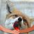 Rita Fox's profile image